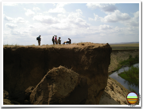Kastanozem (Mongolei 2008)